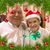Lynn Krauss's profile image