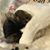 Julie Manhan's profile image