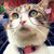 Diana Carlson's profile image