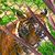 Kimberly Ansell Fox's profile image