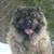 Eric Rudman's profile image