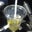 Pomme Le's profile image