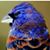 Karen Hughes's profile image