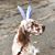 Donnah Brnger's profile image