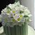Jeanne Topham's profile image