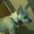 June Allison's profile image