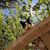 Sandra Villalobos's profile image