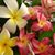 Jaye Boyack's profile image