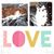 Tracy L Courtney's profile image