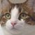 Elaine C Gridley's profile image