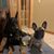Tanya Jo Leigh's profile image