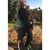 Jordan Clinger's profile image