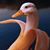 Karl Tipple's profile image
