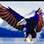 Cathey Pritchett's profile image
