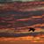 Kathy Plake's profile image