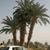 Mohamed Khalil El Awjali's profile image
