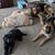 Tammy DeMaria Karnik's profile image