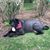 Amy Leonard Moscone's profile image