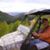 Scott Wayne Smith's profile image