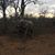 Beth Donchez Plunkett's profile image