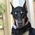 Caren McKeon's profile image