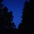 Sandra Ophus's profile image