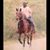 Harry Joseph's profile image