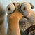 Tom Hartsock's profile image