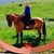 Cathi Reyes's profile image