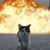 Donna Tritchler's profile image