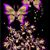 Megan Puckett's profile image