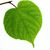 Jeanne O'Neil's profile image