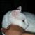 Irene Mileski's profile image