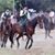 Andrea Calandrino Murri's profile image