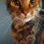 Lynn McCrackin's profile image