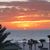 Jeannine Voll's profile image