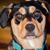 Melissa Mitchell-Dawson's profile image