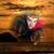 Sara Marshall's profile image