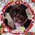 Linda Clapsaddle's profile image