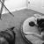 Leora Rosenthal Brown's profile image