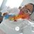 Shavon Stanton's profile image