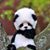 Stjerne Norge's profile image
