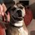 Beth Buckner's profile image