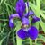 Shelia Dowdy Smeltzer's profile image