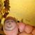 Lindsay Richardson's profile image