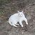 Anna Ayres's profile image