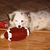 Cheryl Warczak Weston's profile image