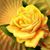Julia Diveroli's profile image