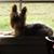 Pat Eichholtz's profile image