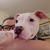 Stephanie Sension's profile image